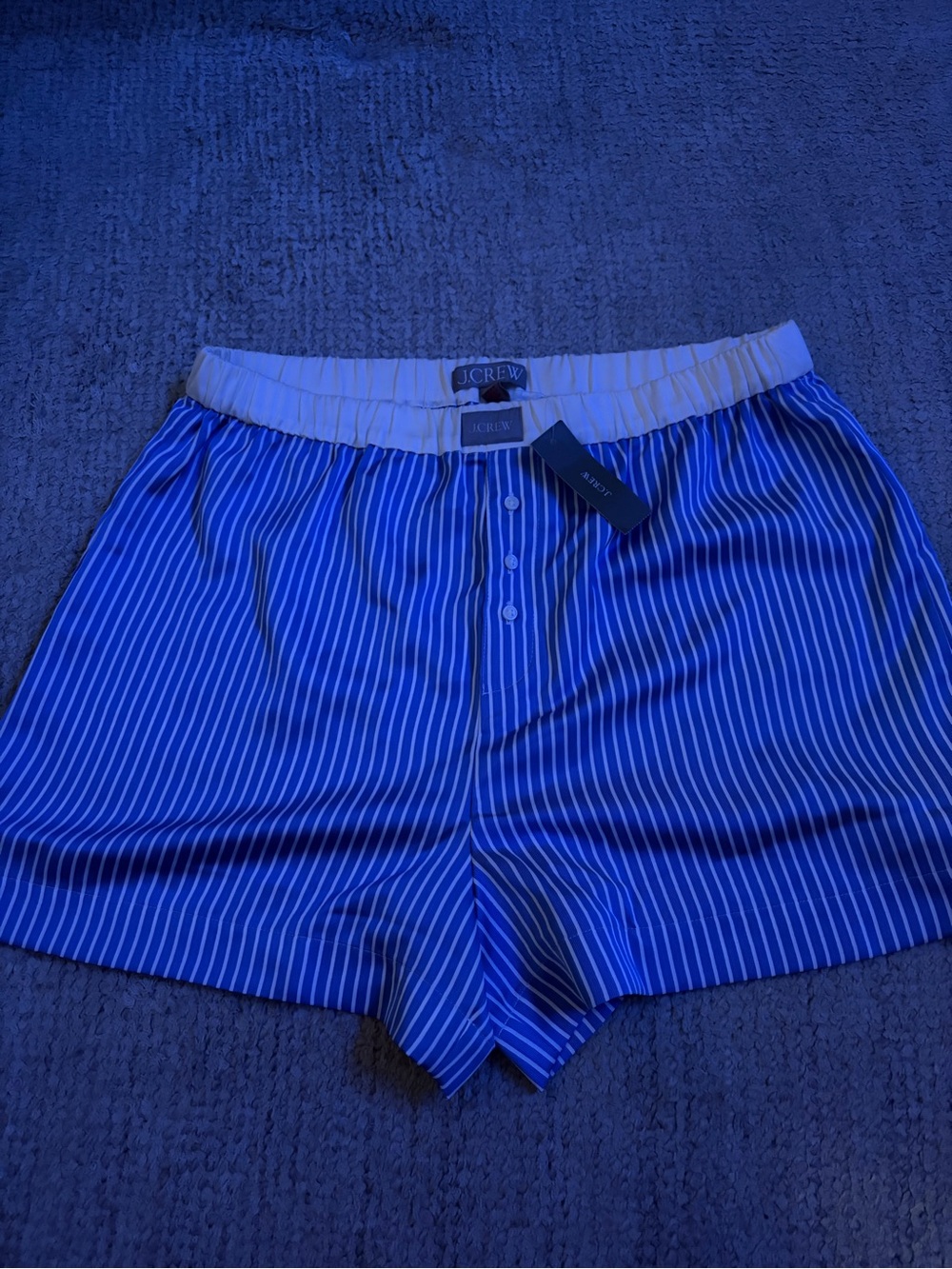 JCrew Silk Shorts